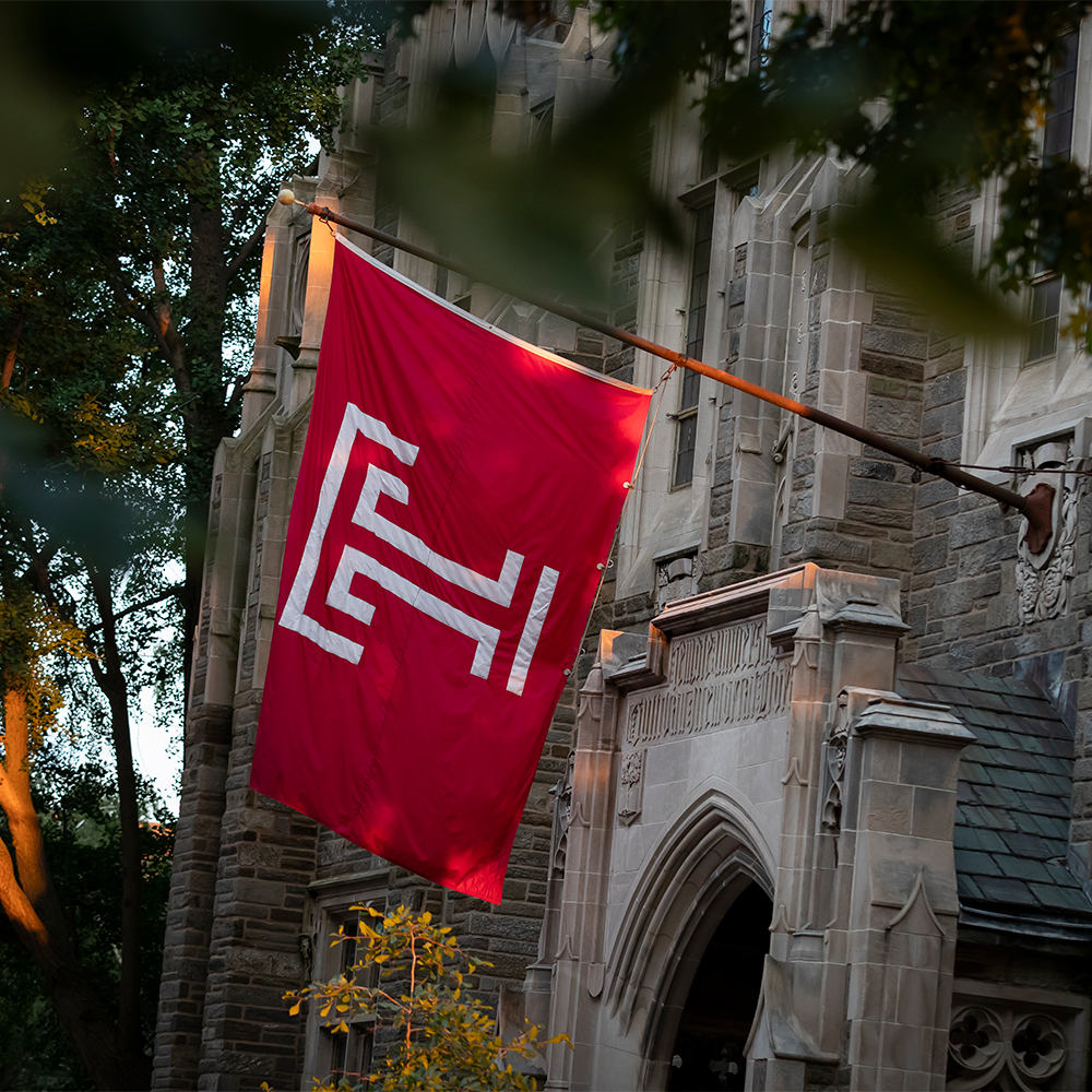 Picture of Safety and Well-being at Temple