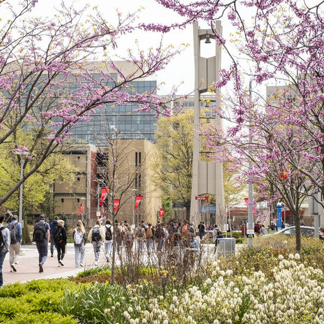  Students walking on Temple’s Main Campus in early spring. 