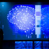 Digital model of human brain