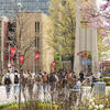 20220421_Spring_Stock_007-High%20Res%20JPEG%20300%20DPI.jpg