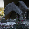 Owl Statue on Campus