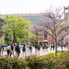 Students walking to class on Polett Walk, bell tower in background