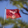 Temple T Flag blowing in wind